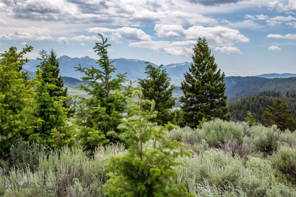 Lot 37 Sun West Ranch, Cameron MT 59720