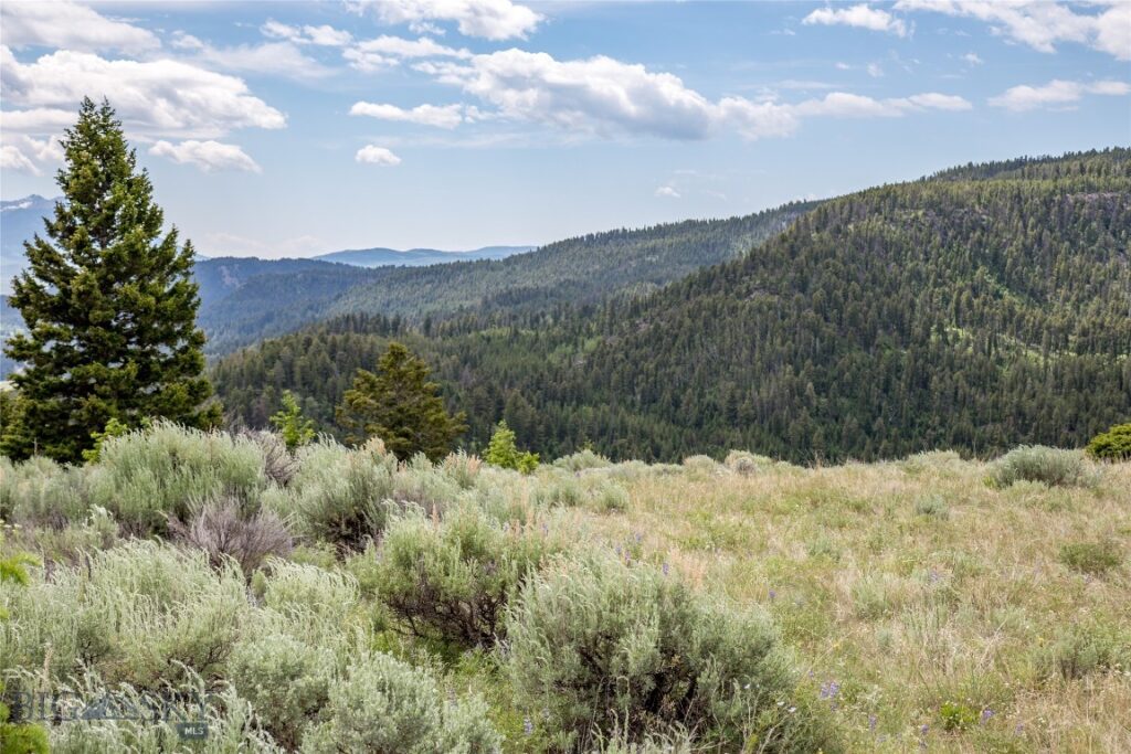 Lot 37 Sun West Ranch, Cameron MT 59720