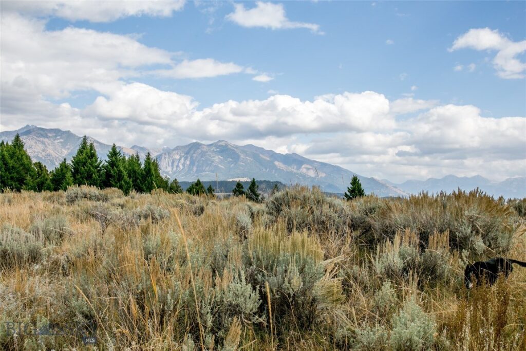 Lot 37 Sun West Ranch, Cameron MT 59720