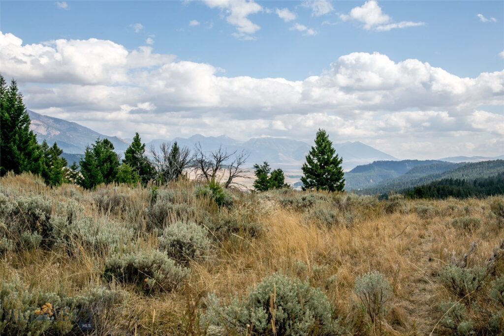 Lot 37 Sun West Ranch, Cameron MT 59720