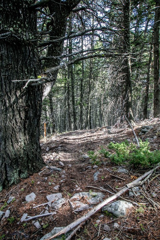 Lot 37 Sun West Ranch, Cameron MT 59720