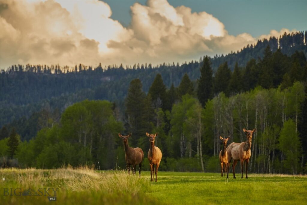Lot 37 Sun West Ranch, Cameron MT 59720