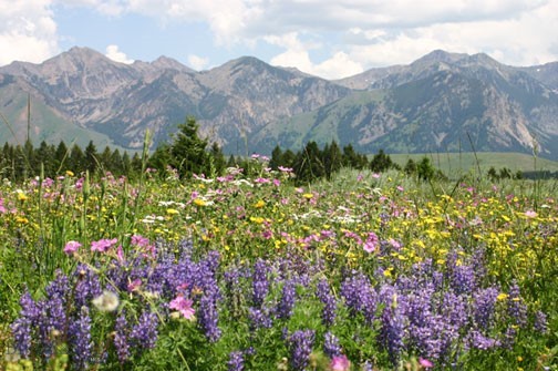 Lot 37 Sun West Ranch, Cameron MT 59720