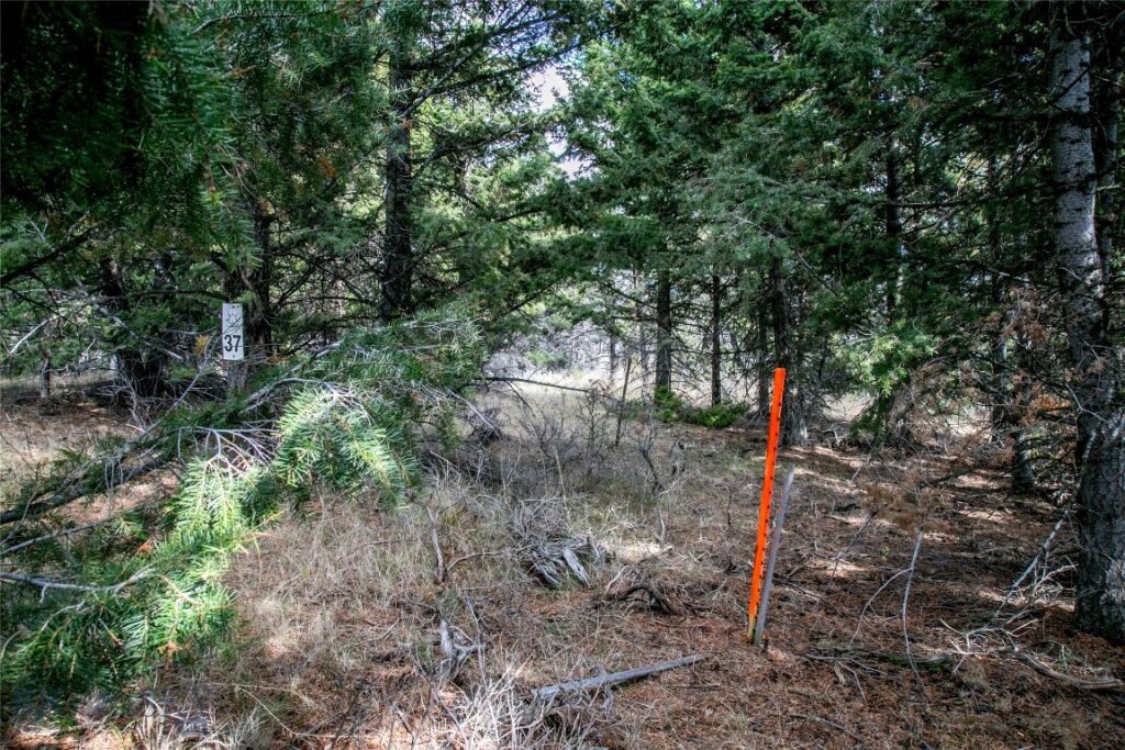 Lot 37 Sun West Ranch, Cameron MT 59720
