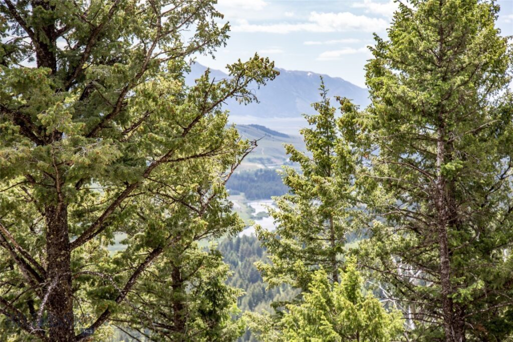 Lot 37 Sun West Ranch, Cameron MT 59720