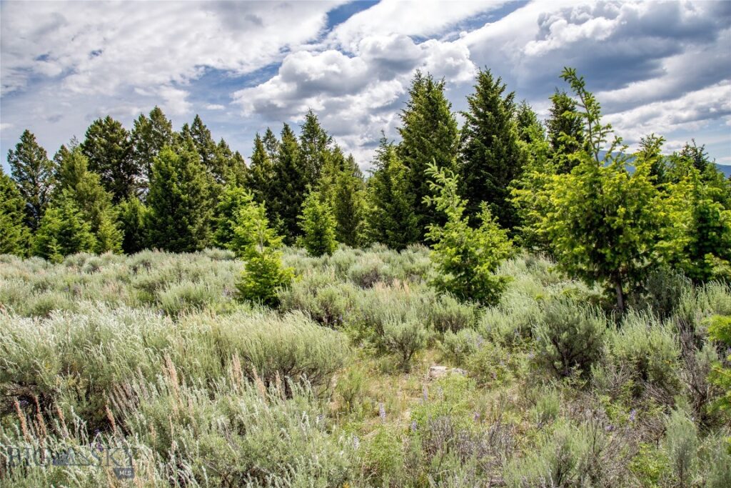 Lot 37 Sun West Ranch, Cameron MT 59720