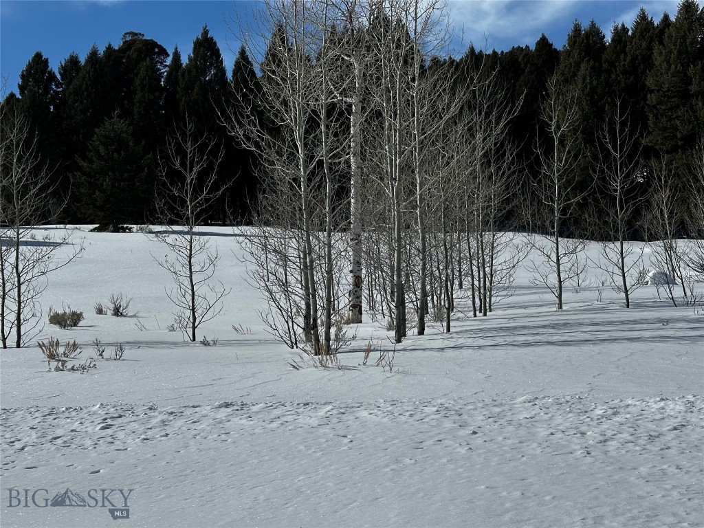 Parcel 23 Buffalo Lance Ranch, Cameron MT 59720