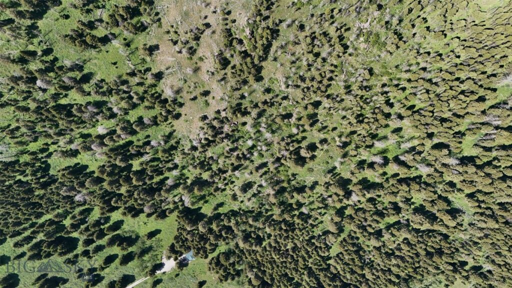 Parcel 23 Buffalo Lance Ranch, Cameron MT 59720