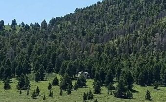 Parcel 23 Buffalo Lance Ranch, Cameron MT 59720