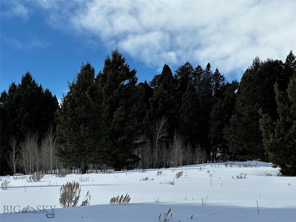 Parcel 23 Buffalo Lance Ranch, Cameron MT 59720