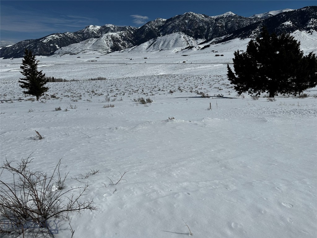 Parcel 23 Buffalo Lance Ranch, Cameron MT 59720