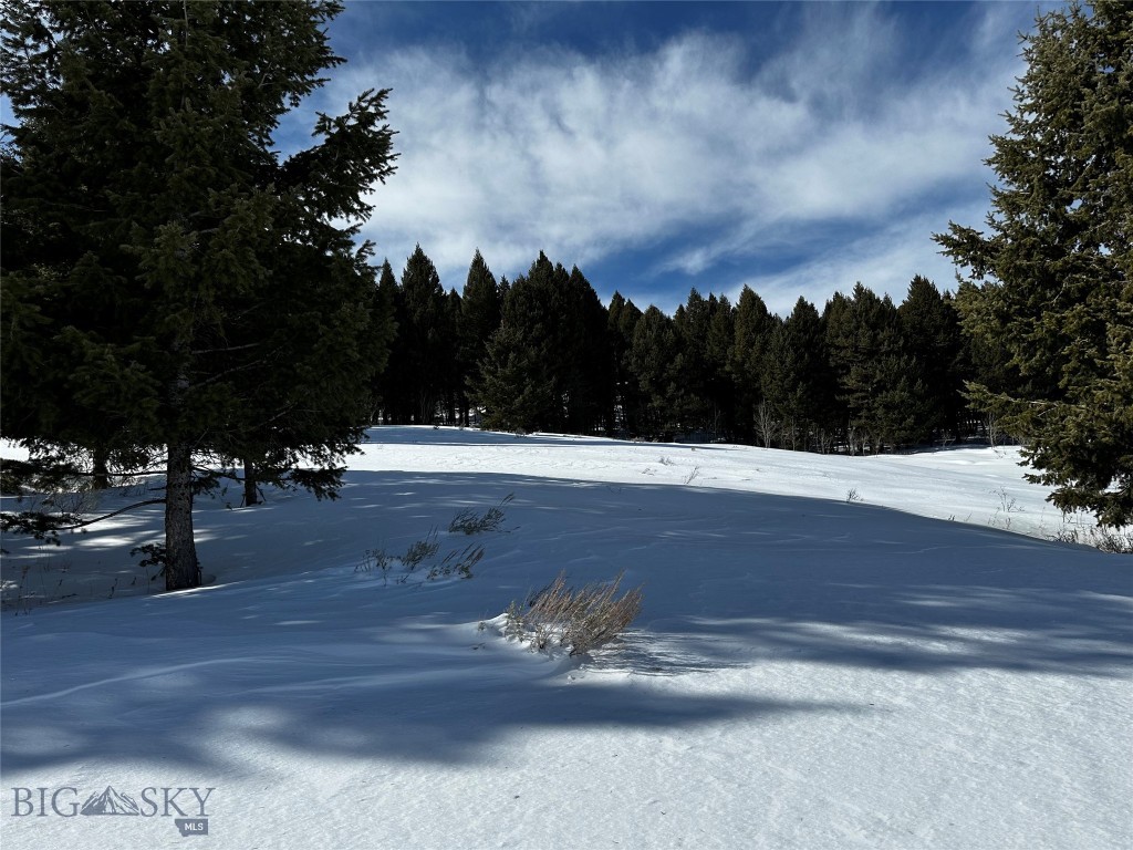 Parcel 23 Buffalo Lance Ranch, Cameron MT 59720