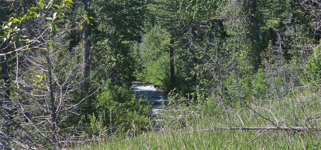 Lot 11 So. Boulder Rd, Cardwell MT 59721