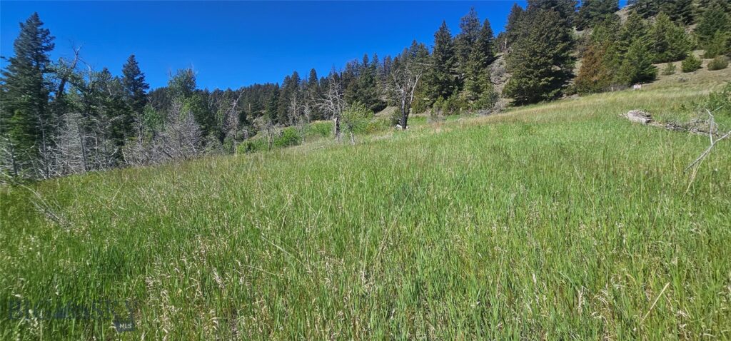 Lot 11 So. Boulder Rd, Cardwell MT 59721