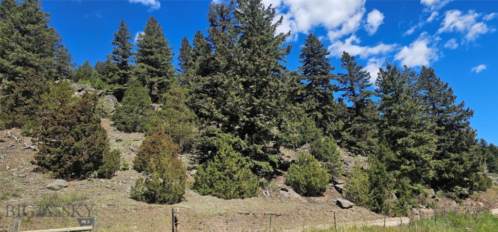 Lot 11 So. Boulder Rd, Cardwell MT 59721