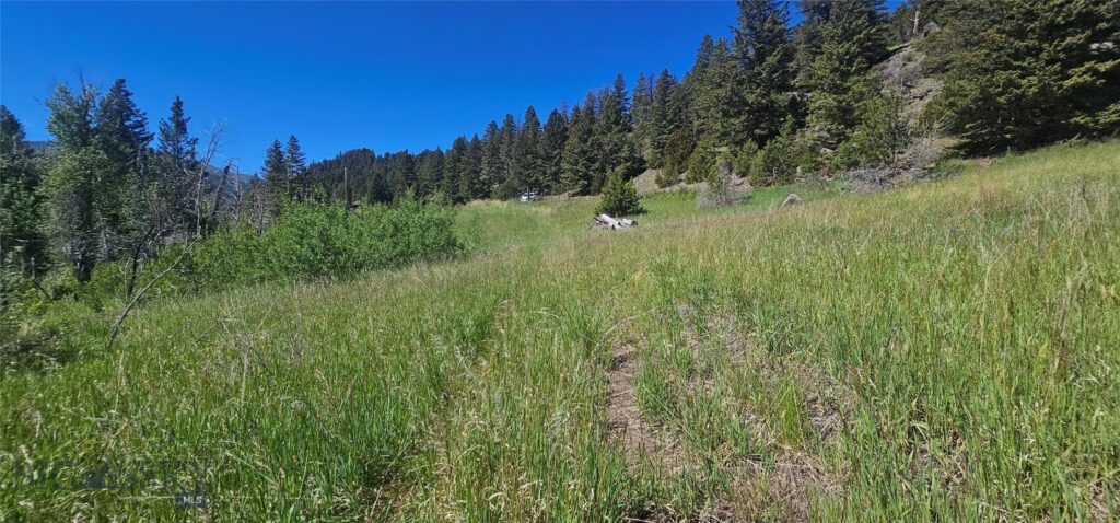 Lot 11 So. Boulder Rd, Cardwell MT 59721