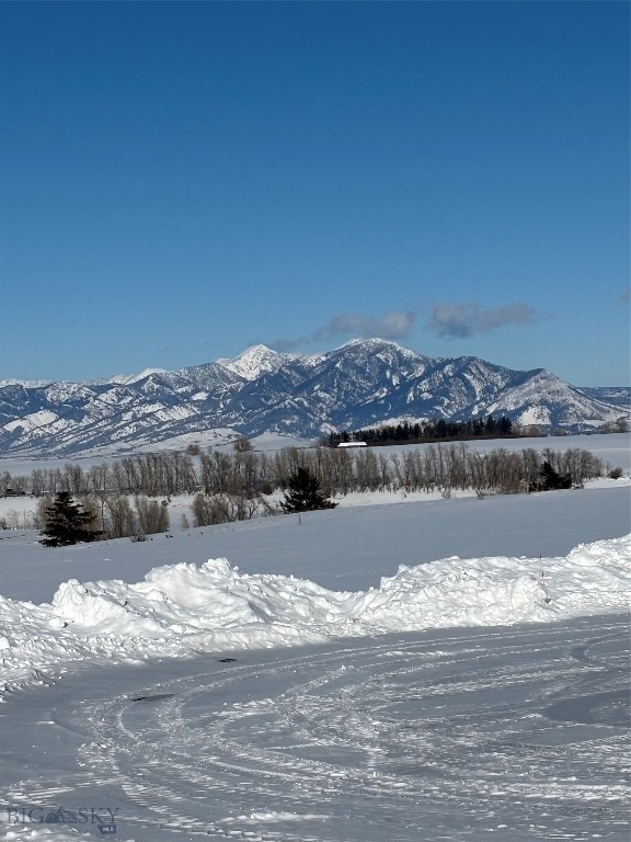 13830 (Tract A-D) Cottonwood Road, Bozeman MT 59718