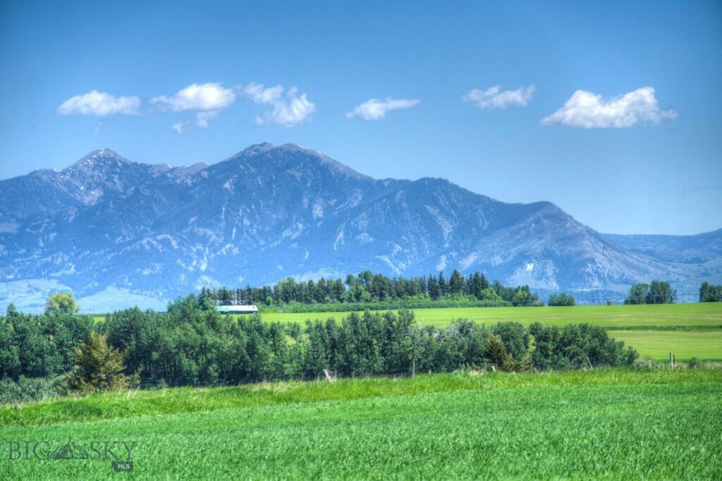 13830 (Tract A-D) Cottonwood Road, Bozeman MT 59718