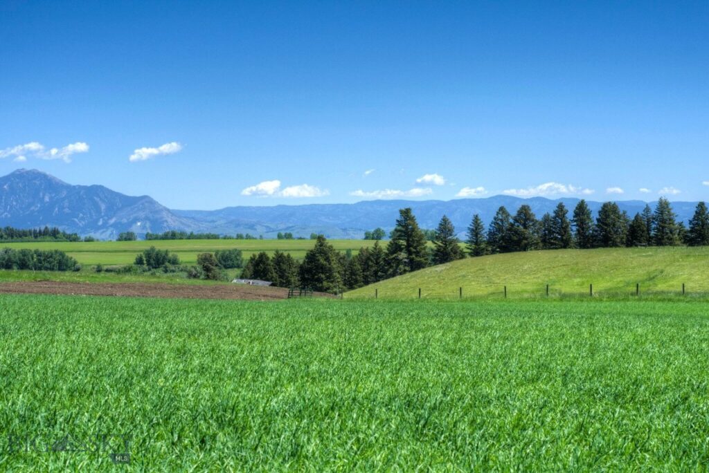 13830 (Tract A-D) Cottonwood Road, Bozeman MT 59718