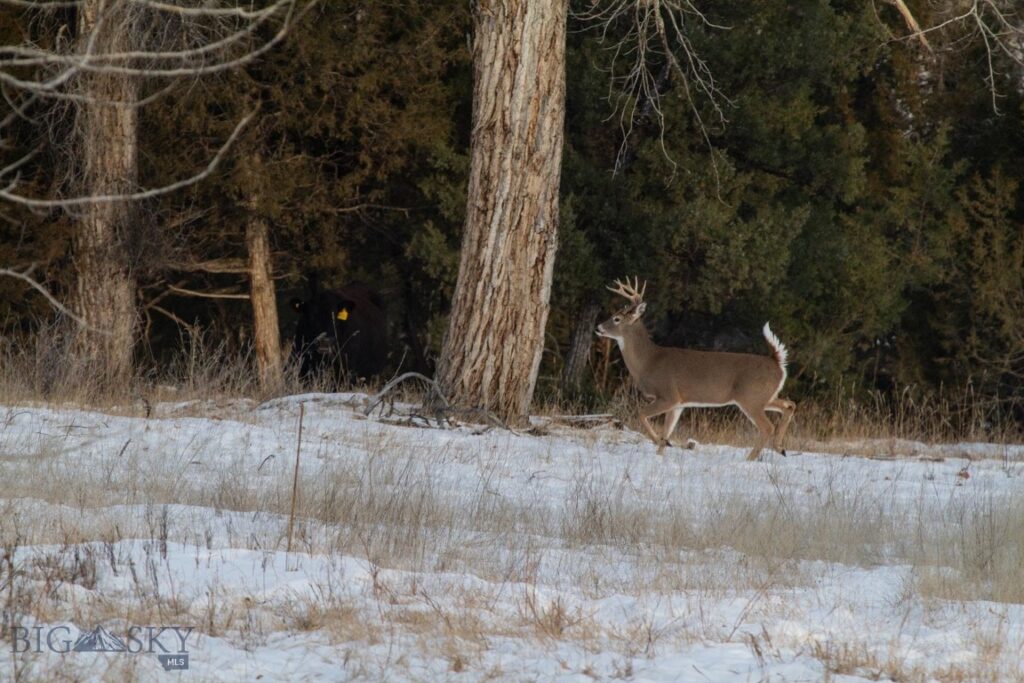 5211 Old Yellowstone Trail, Three Forks MT 59752