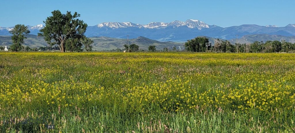 5211 Old Yellowstone Trail, Three Forks MT 59752
