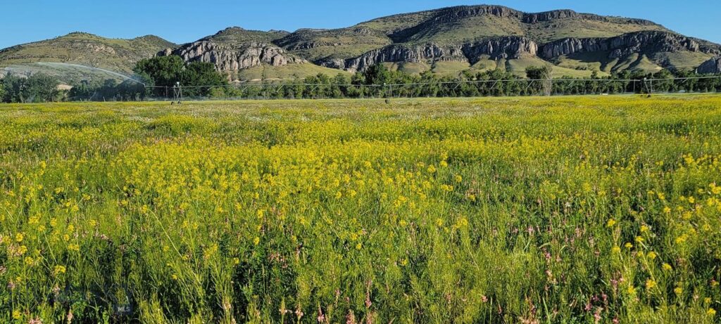 5211 Old Yellowstone Trail, Three Forks MT 59752