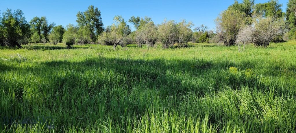 5211 Old Yellowstone Trail, Three Forks MT 59752