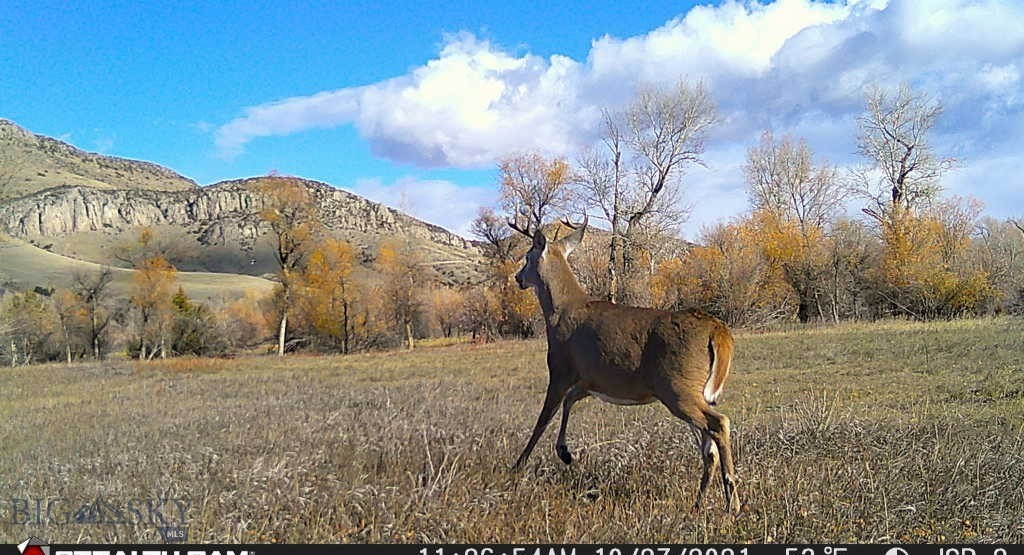 5211 Old Yellowstone Trail, Three Forks MT 59752