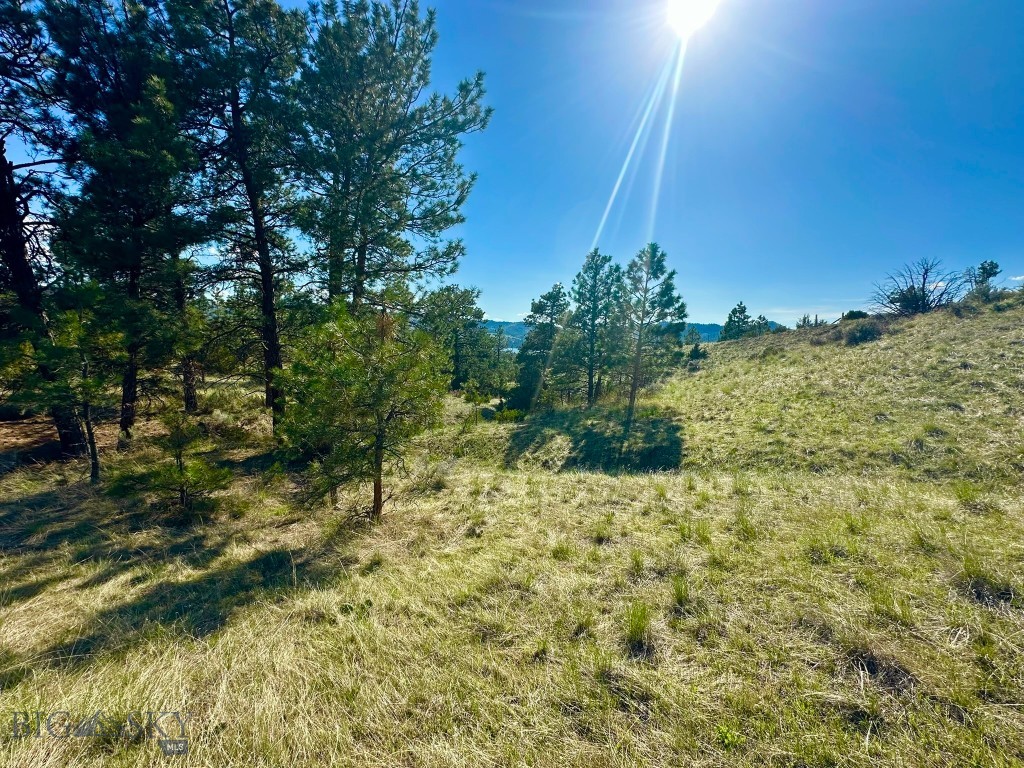 3940 Northstar Court, Helena MT 59602