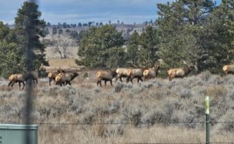 TBD 147A, Hardin MT 59024