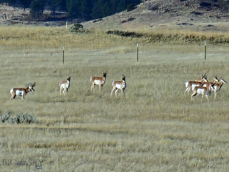 TBD 147A, Hardin MT 59024