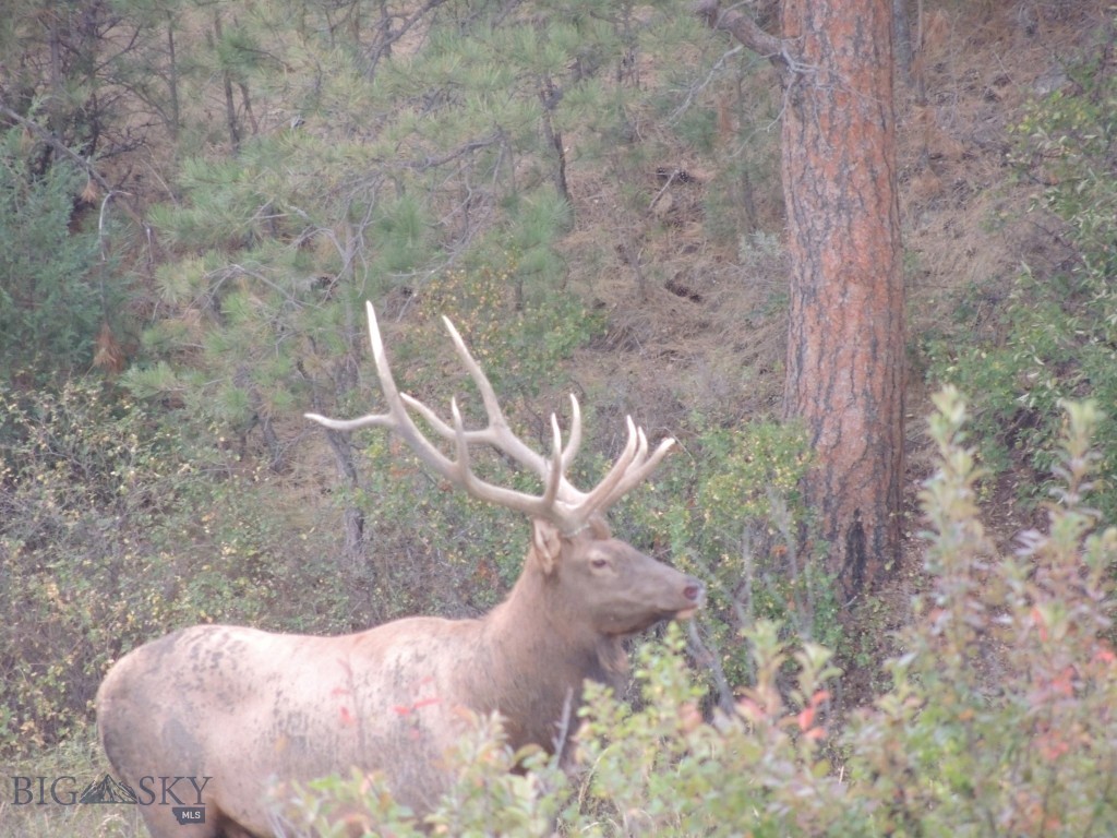 TBD 147A, Hardin MT 59024