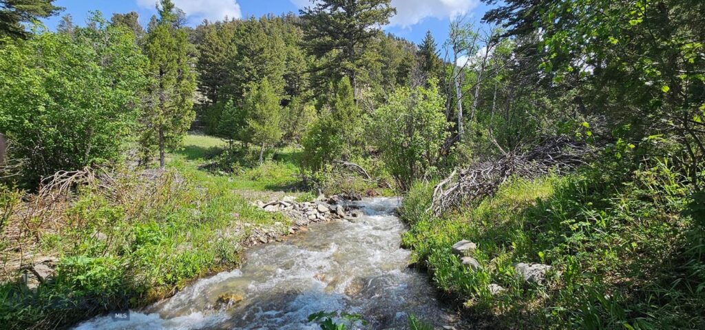 327 Granger Road, Cameron MT 59720