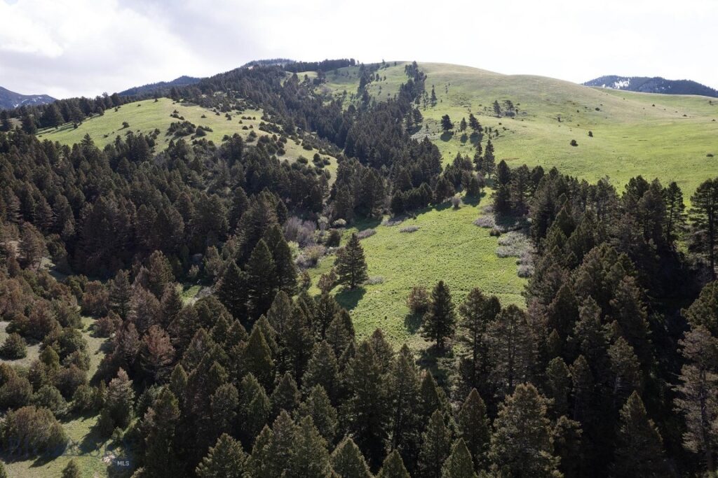 327 Granger Road, Cameron MT 59720