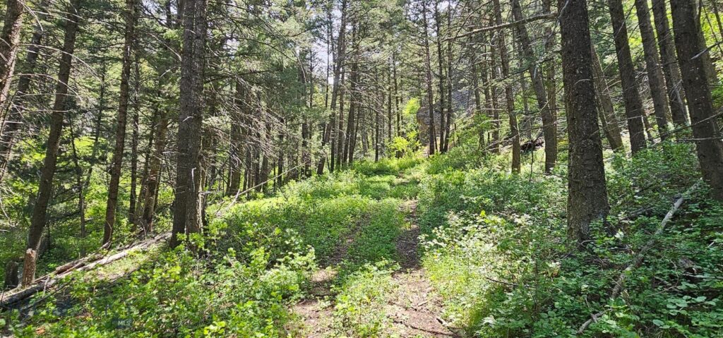 327 Granger Road, Cameron MT 59720