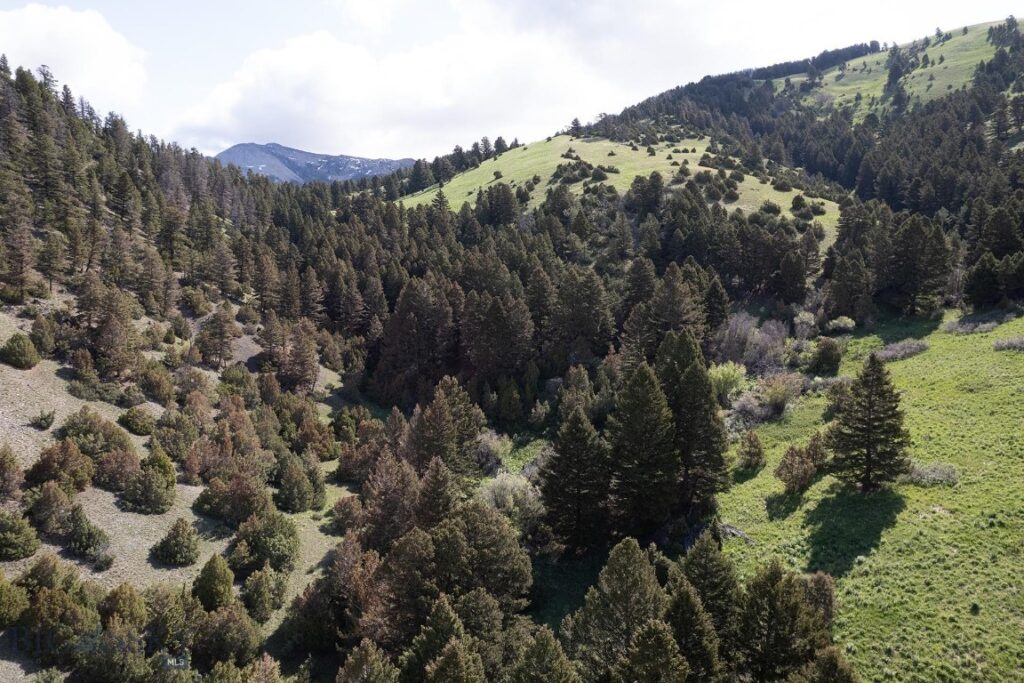 327 Granger Road, Cameron MT 59720