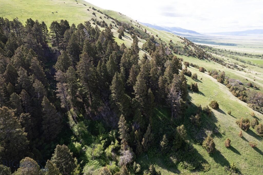 327 Granger Road, Cameron MT 59720