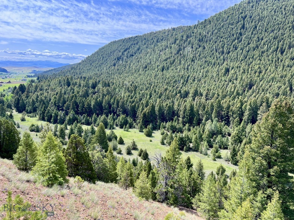 NHN Lost Creek Rd, Anaconda MT 59711