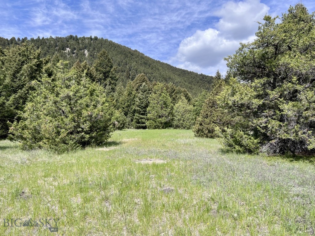 NHN Lost Creek Rd, Anaconda MT 59711