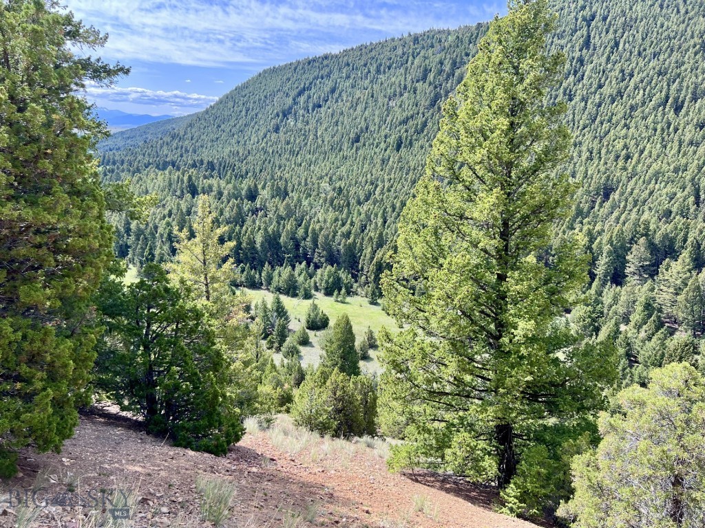 NHN Lost Creek Rd, Anaconda MT 59711