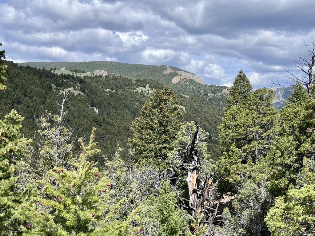 NHN Lost Creek Rd, Anaconda MT 59711