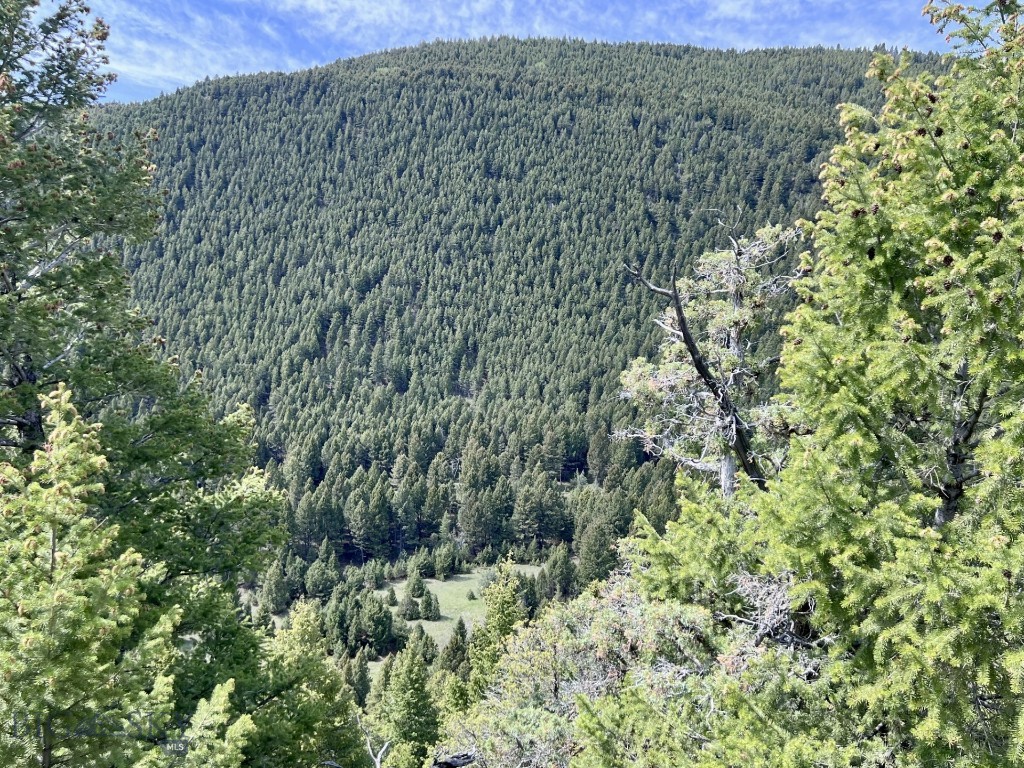 NHN Lost Creek Rd, Anaconda MT 59711