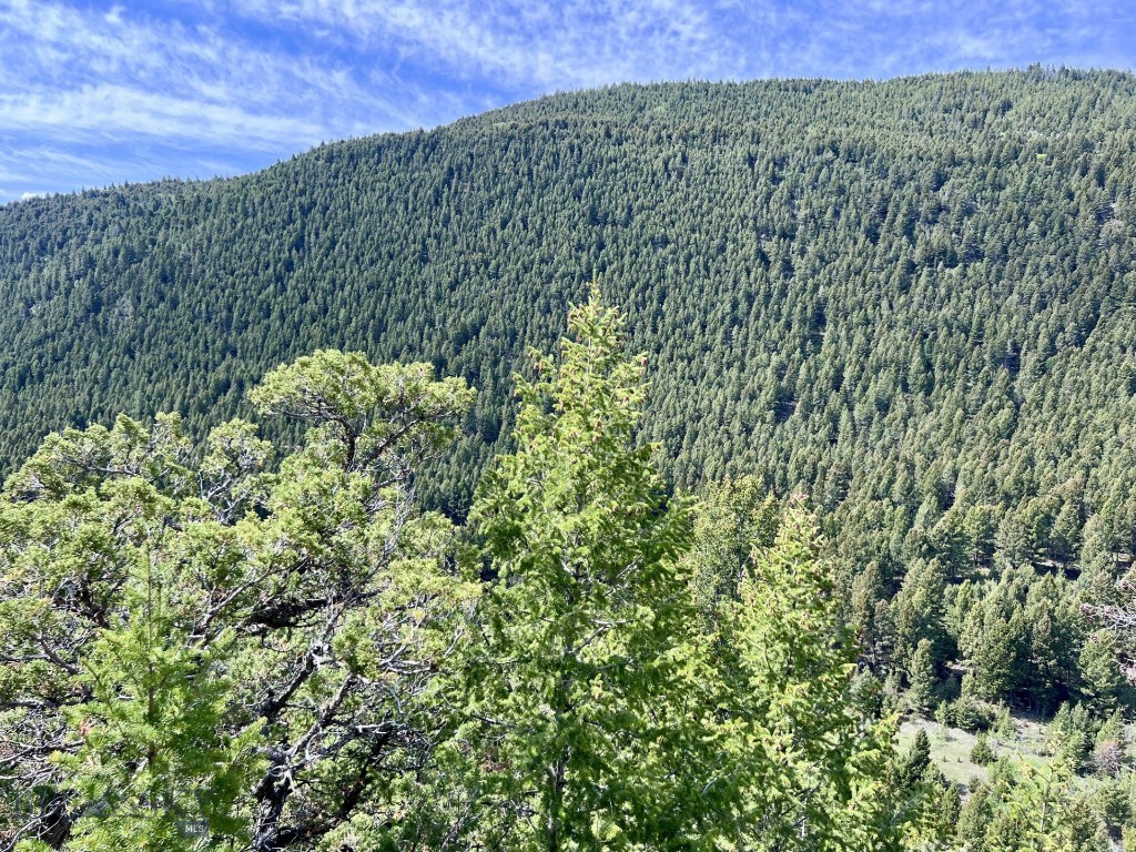 NHN Lost Creek Rd, Anaconda MT 59711