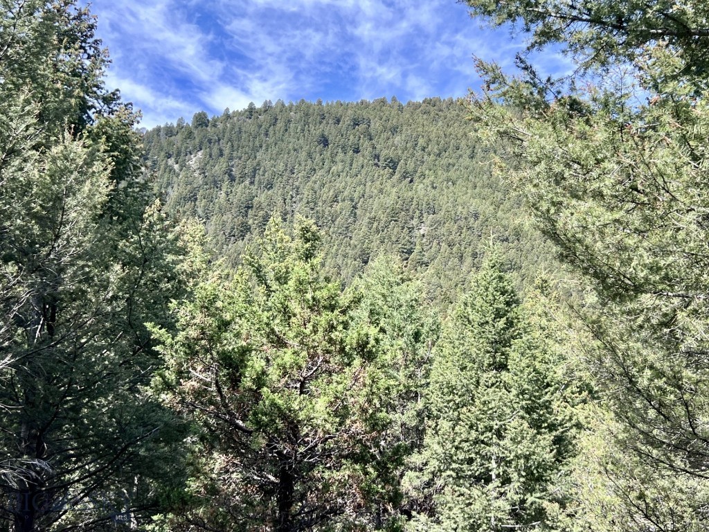 NHN Lost Creek Rd, Anaconda MT 59711