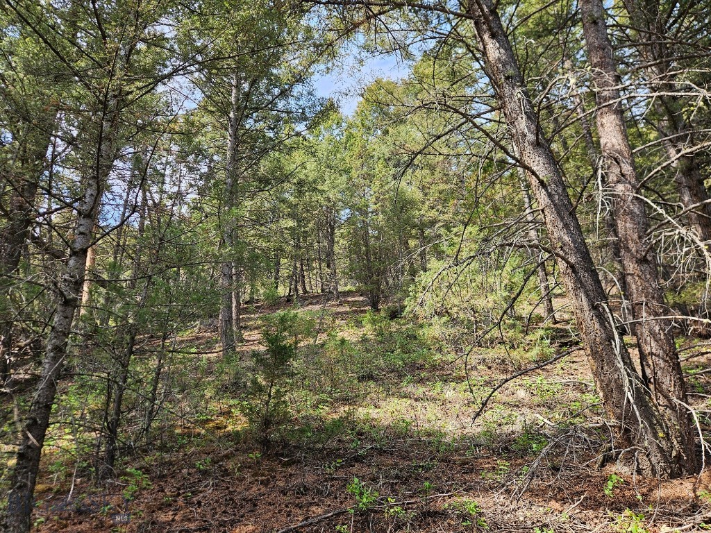 NHN Lost Creek Rd, Anaconda MT 59711