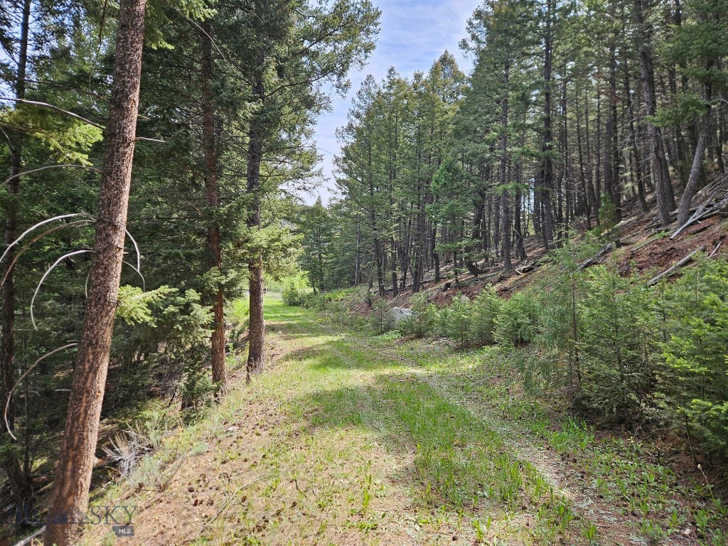 NHN Lost Creek Rd, Anaconda MT 59711