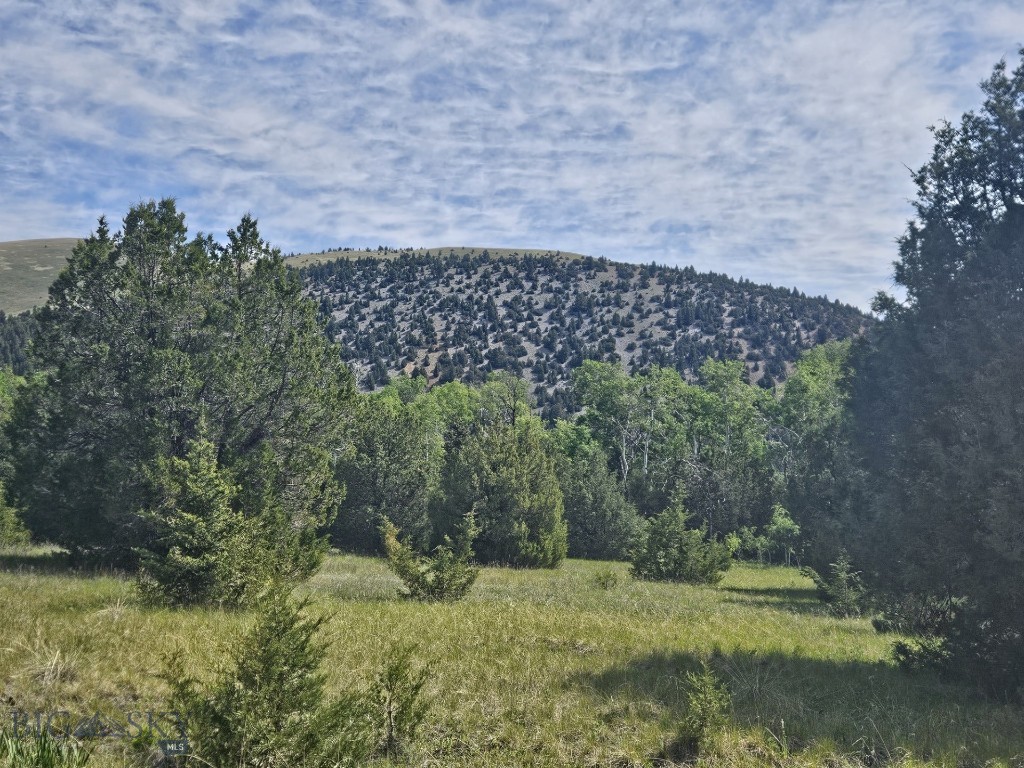 NHN Lost Creek Rd, Anaconda MT 59711