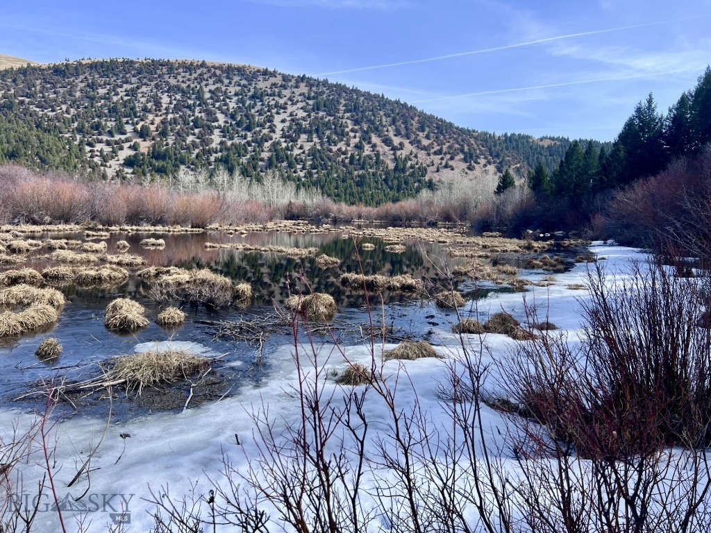 NHN Lost Creek Rd, Anaconda MT 59711