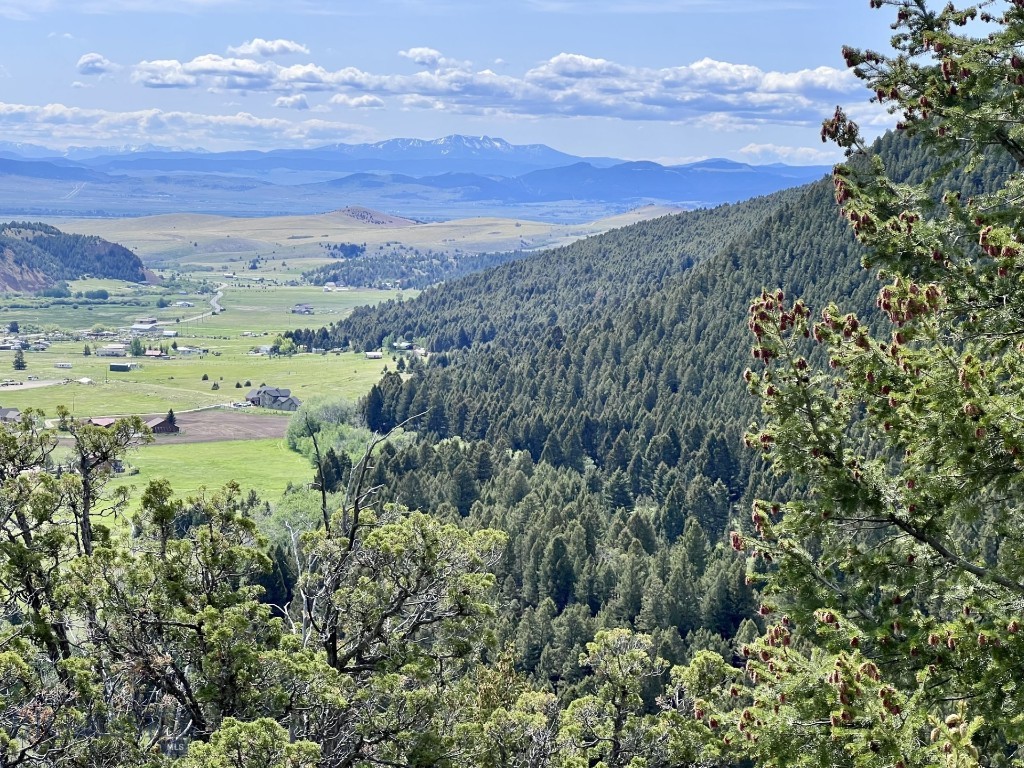 NHN Lost Creek Rd, Anaconda MT 59711