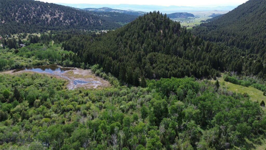 NHN Lost Creek Rd, Anaconda MT 59711